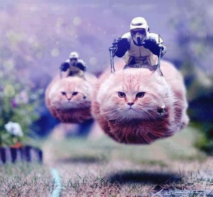 ...