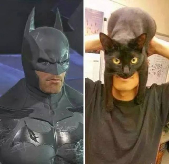 ...